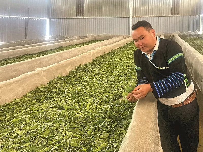 Mr Tủa guided farmers in selling agricultural products through social media platforms. (Photo: provided by the character)