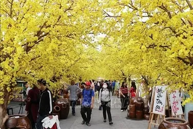 Tet Viet Festival opens in HCM City