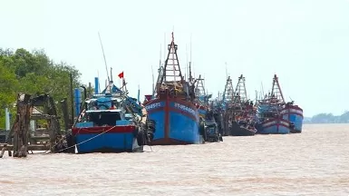 Ben Tre works hard to handle ‘three no’s’ fishing vessels