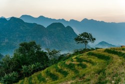 LAMORI Resort & Spa: Gió thổi lâng lâng - Thanh xuân lại đến
