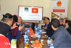 Vietnam, Algeria to promote stronger economic bonds: Trade Office