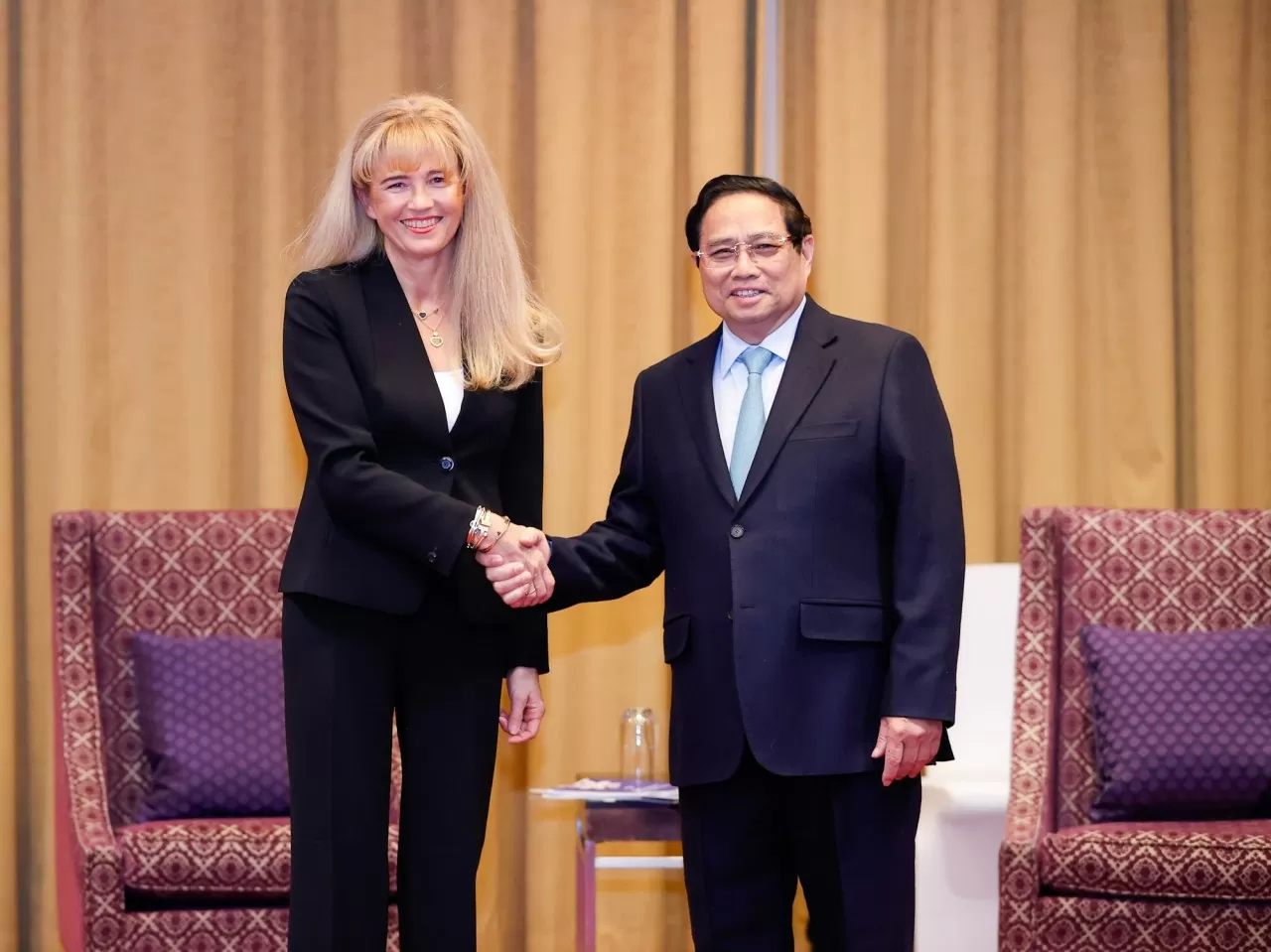 Prime Minister Pham Minh Chinh receives Polish companies’ leaders