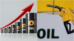 Giá xăng dầu hôm nay 13/1: Tuần tăng giá
