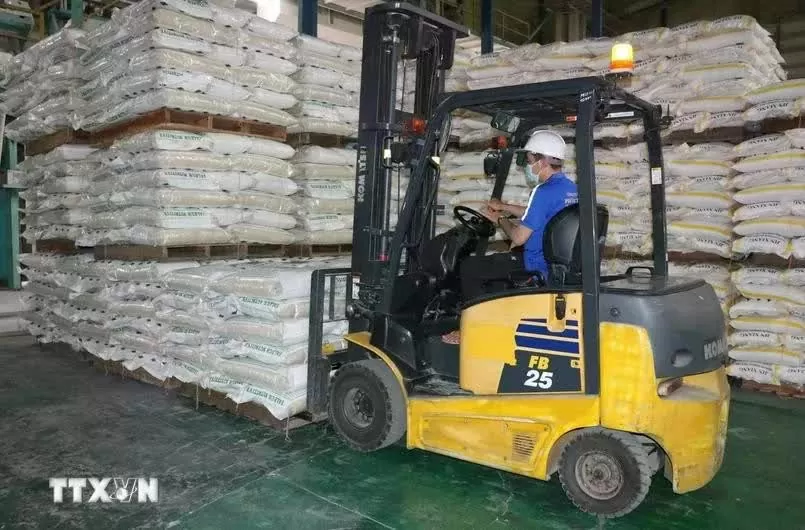 Vietnam&rsquo;s rice exports to Singapore surge