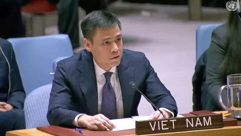 Vietnam welcomes ceasefire agreements in Middle East: Ambassador to UN