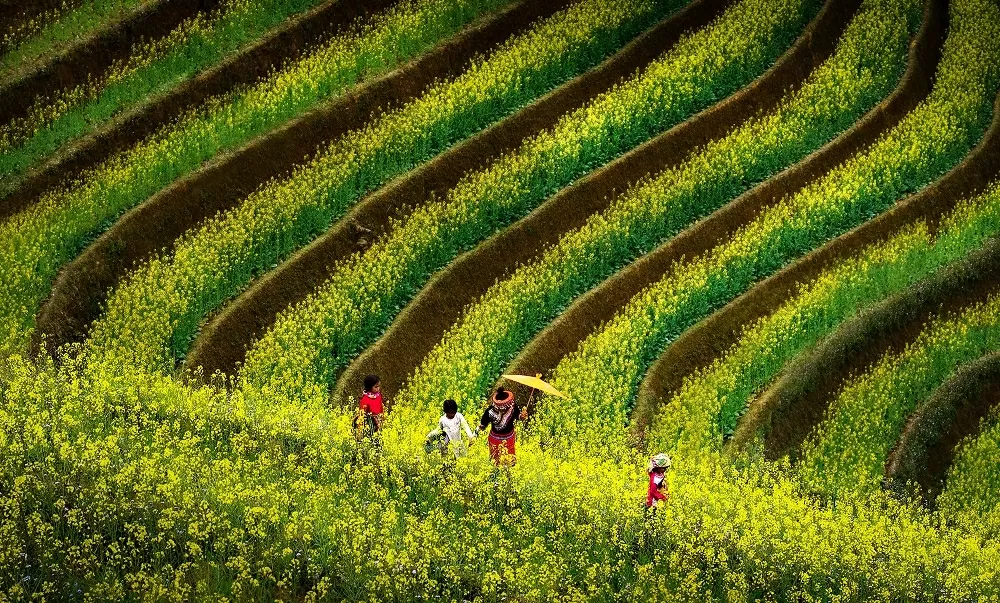 Khám phá Việt Nam: Mê đắm những cung đường Xuân