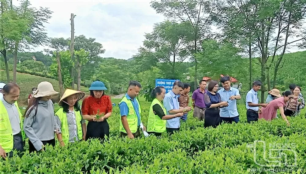 Khai mở 'mỏ vàng' du lịch Thái Nguyên