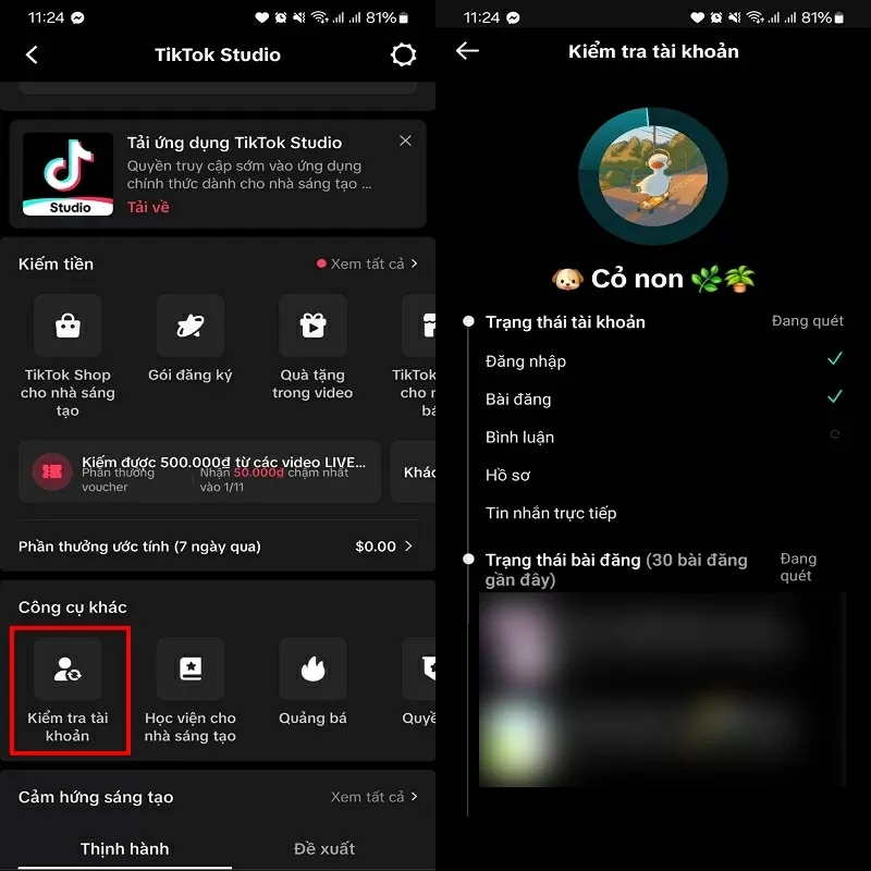 Cách kiểm tra tài khoản TikTok có vi phạm không chính xác, nhanh chóng