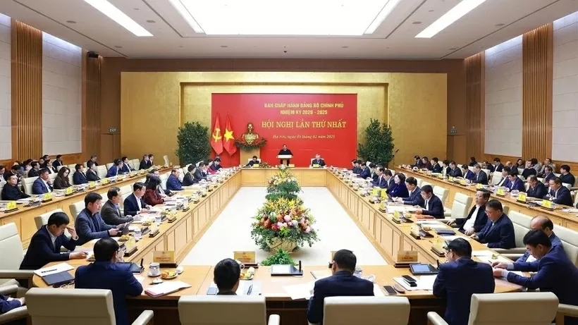 Prime Minister urged efforts to build clean, strong Government's Party Organisation: