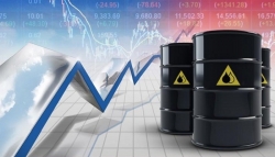 Giá xăng dầu hôm nay 24/2: Cả dầu Brent và WTI cùng giảm giá