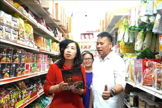 Vietnamese in Malaysia strive to preserve mother tongue: Deputy Foreign Minister