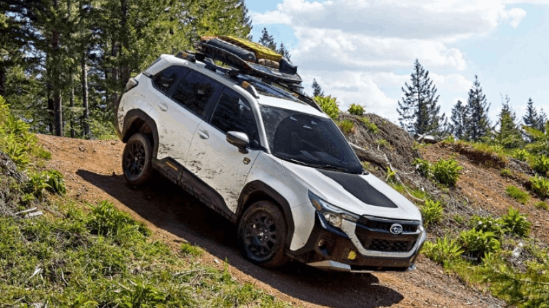 Subaru dự kiến ra mắt Forester Wilderness 2026 vào mùa Thu 2025