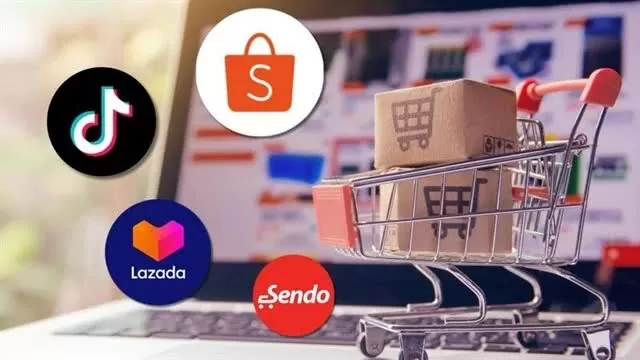 Revenue from five largest e-commerce platforms reaches over 12 billion USD in 2024