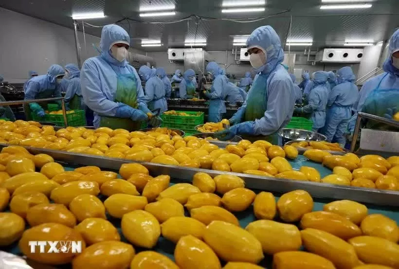 Lam Dong’s agricultural product exports reach nearly 40 million USD