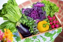 Những phương pháp giảm cân bằng chế độ ăn uống thay thế