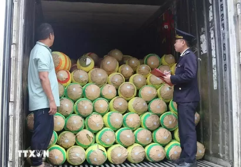 Agriculture - key cooperation area between Vietnam, China's Guangxi: website