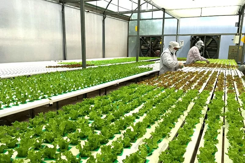 Nhiều công nghệ nông nghiệp tiên tiến được giới thiệu tại Triển lãm Agritechnica Asia Việt Nam 2025