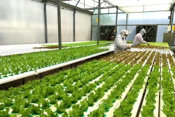 Nhiều công nghệ nông nghiệp tiên tiến được giới thiệu tại Triển lãm Agritechnica Asia Việt Nam 2025