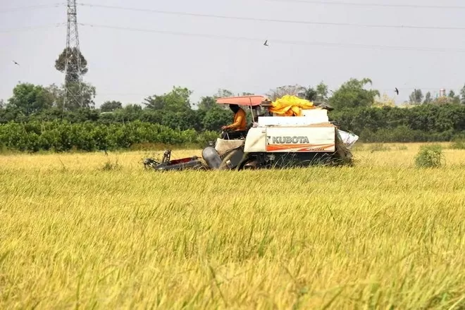 Key agricultural products expected to maintain export growth this year