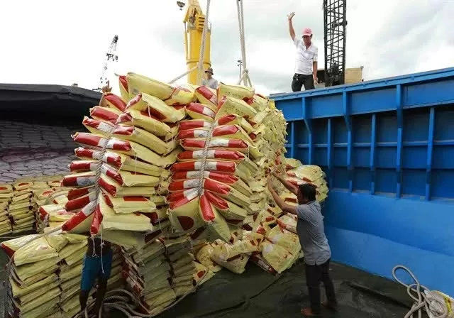 PM Pham Minh Chinh signed dispatch urging efforts to balance rice supply-demand