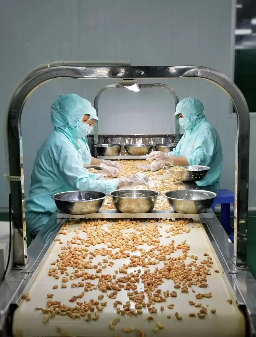 Vietnamese goods gain competitive edge in Dutch market