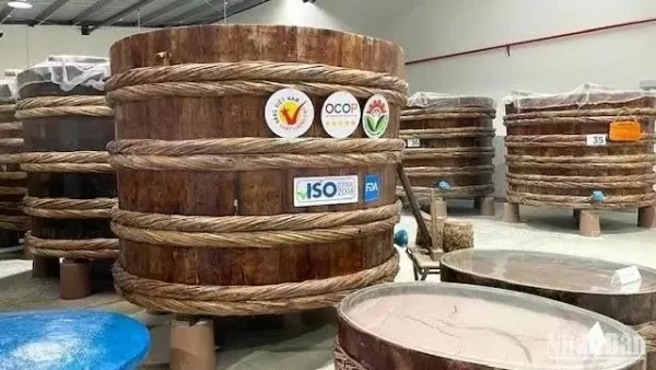 Vietnam's OCOP products successfully gain global recognition