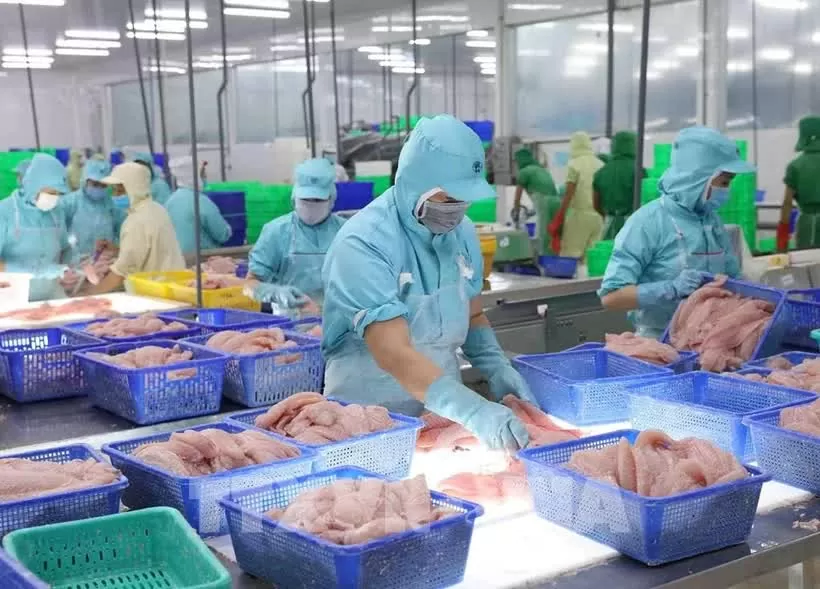 Int’l financial institutions show positive views on Vietnam's growth prospects