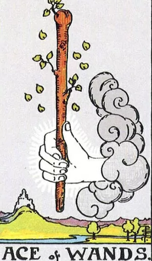 Bài tarot hôm nay 3/3: Bạn có phải là kẻ si tình? Bài tarot hôm nay: