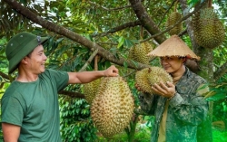 Gỡ điểm nghẽn, đưa nông sản Việt Nam thành ‘bạn hàng’ uy tín với khách hàng quốc tế