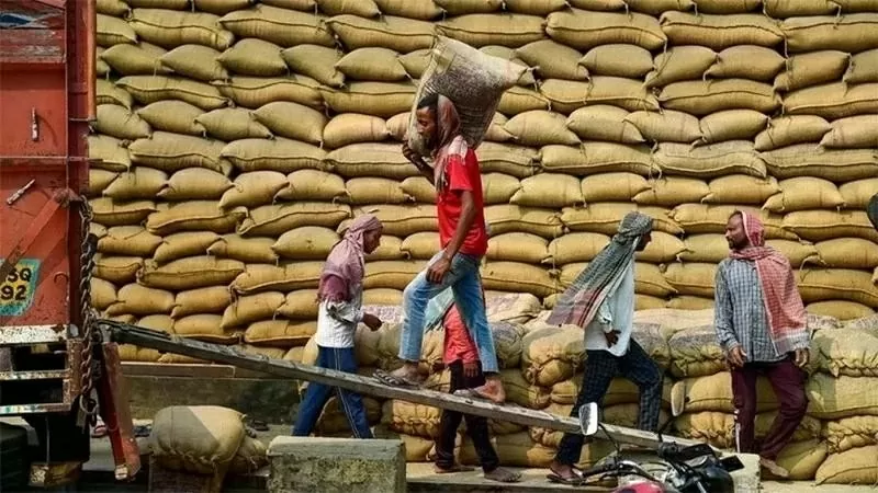 Vietnamese exporters advised to study market to boost agricultural exports to India: Trade Office