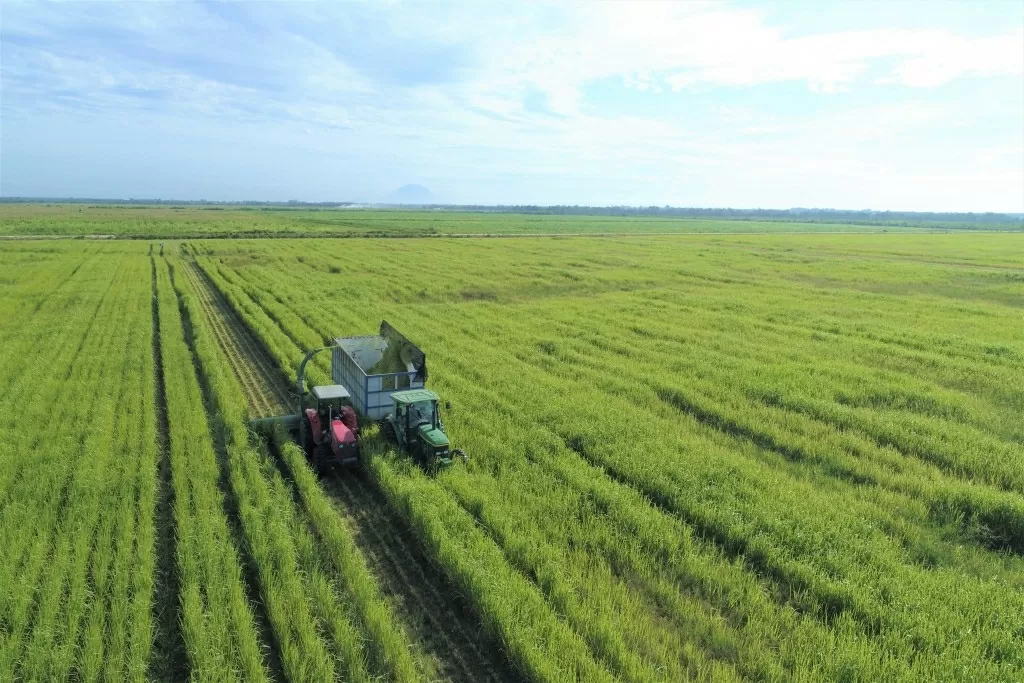 Tây Ninh là một trong những địa phương có nhiều lợi thế, tiềm năng để phát triển nông nghiệp công nghệ cao. (Nguồn: tuoitrethudo)