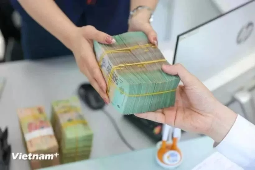 Government bond auctions raise over 29 trillion VND in February