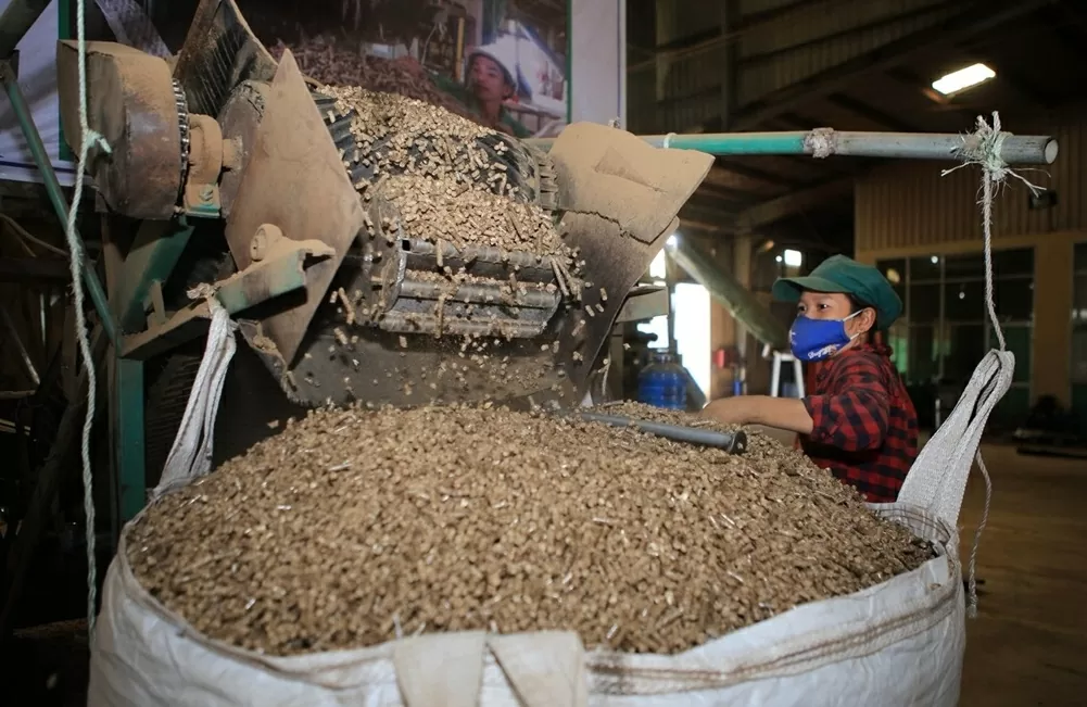 Tạo môi trường chính sách phù hợp để phát huy hiệu quả tiềm năng năng lượng sinh khối cho sản xuất bền vững ở Việt Nam Tạo môi trường chính sách phù hợp để phát huy hiệu quả tiềm năng năng lượng sinh khối cho sản xuất bền vững ở Việt Nam