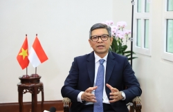 4th P4G Summit marks a significant milestone in advancing global commitments to sustainable development: Indonesian Ambassador