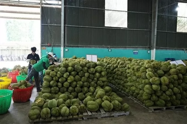 Vietnam-China bilateral trade reaches 31 billion USD in first two months