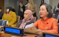 Khoá họp CSW 69: Việt Nam đề xuất 3 lĩnh vực ưu tiên trong công tác bình đẳng giới