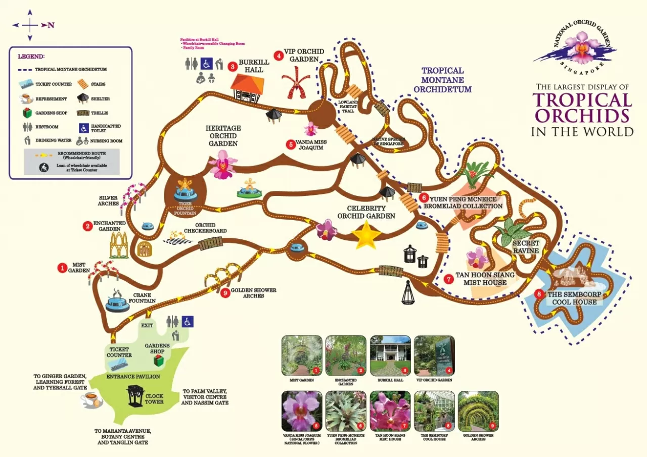 Vườn bách thảo Singapore: Lá phổi xanh của hơn 100 năm tuổi của đảo quốc sư tử