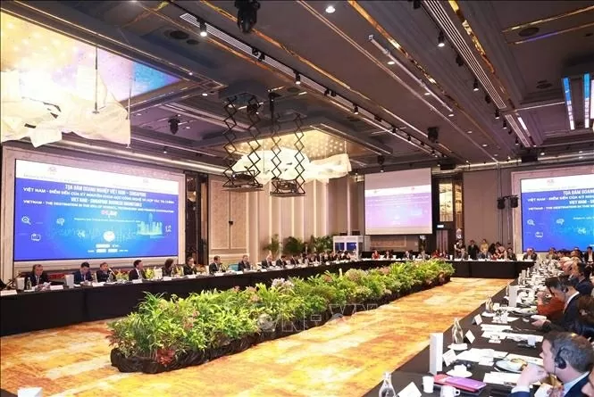General Secretary To Lam attends Vietnam - Singapore business roundtable