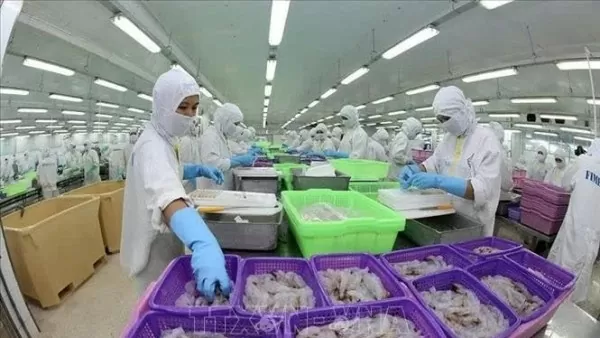 Vietnam becomes the second-largest supplier of aquatic products to Brazil
