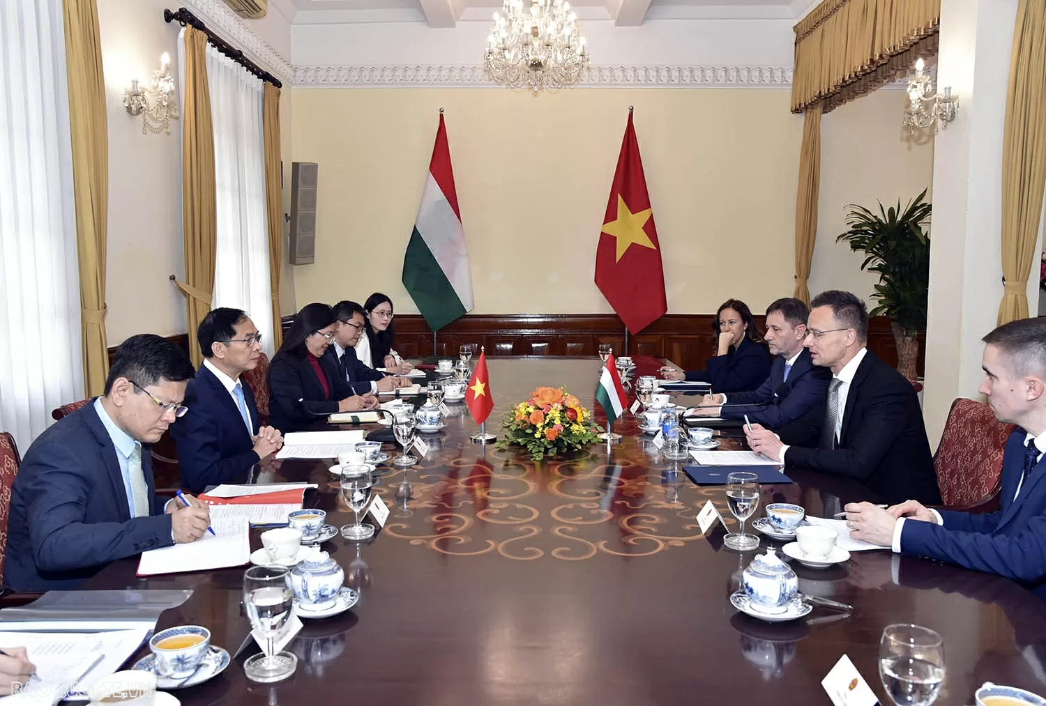 Vietnam-Hungary Relations: Today's success, Tomorrow's foundation