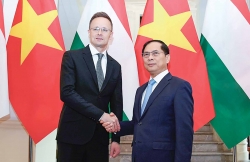 Việt Nam-Hungary: Thành công hôm nay, bước đệm ngày mai