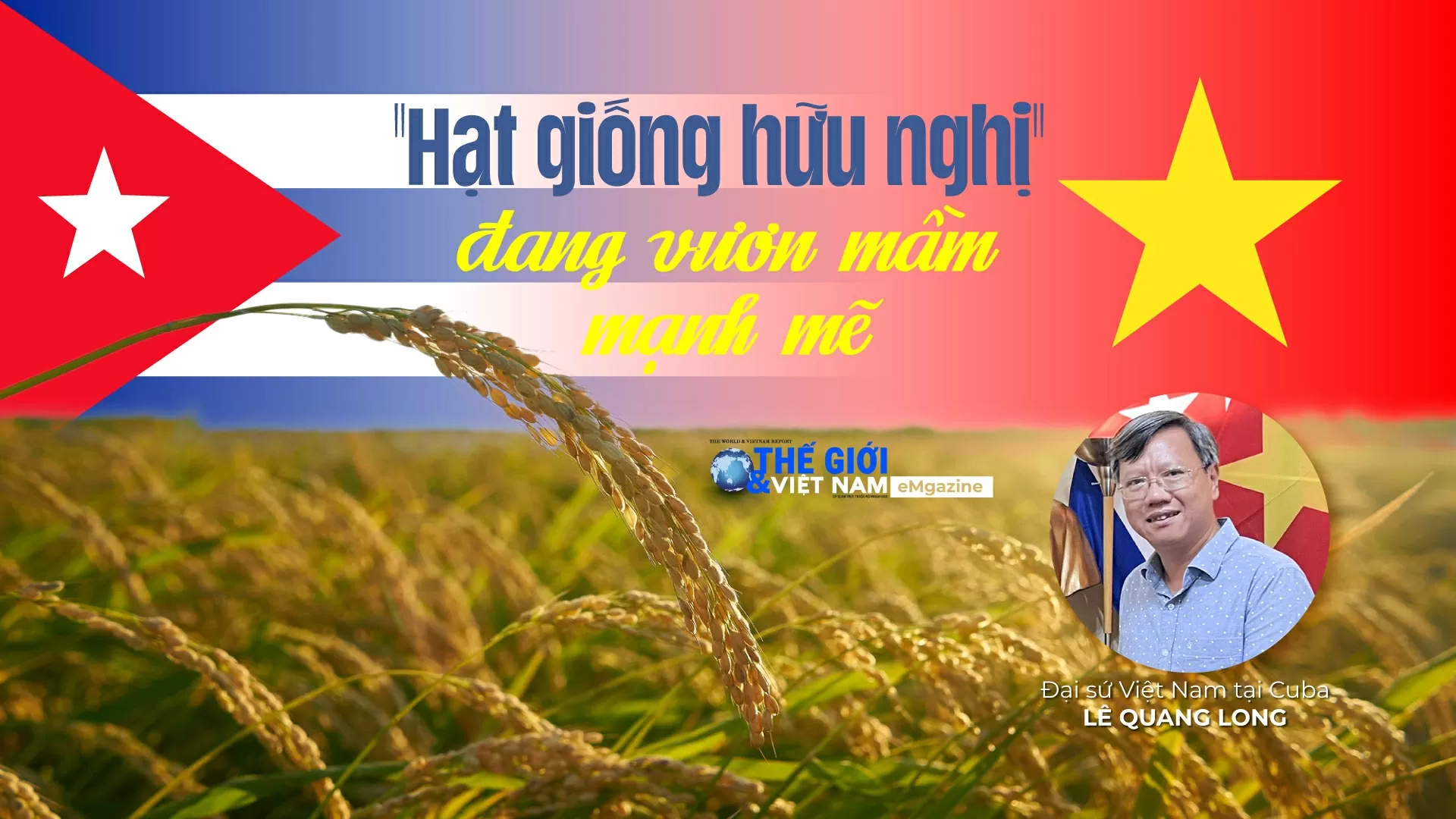 'Hạt giống hữu nghị' đang vươn mầm mạnh mẽ