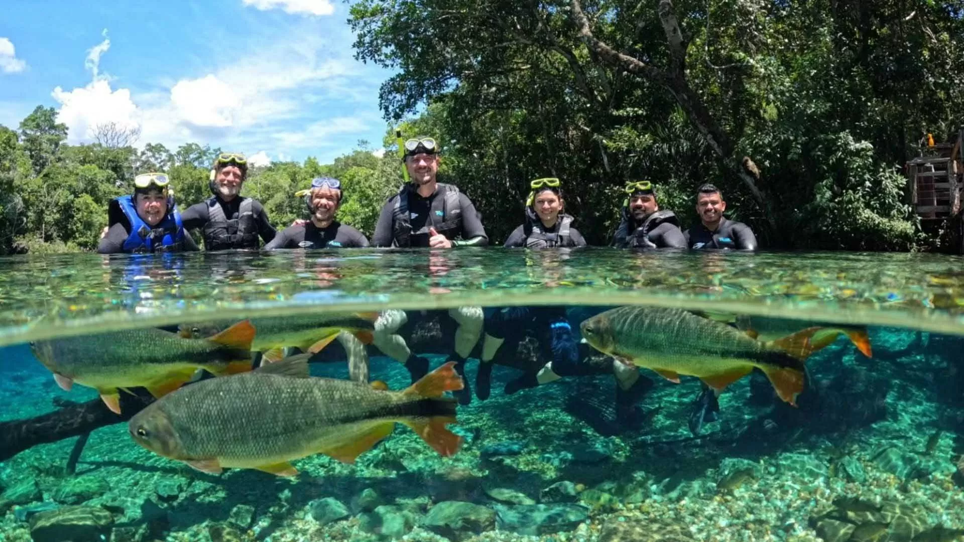 ‘Cây hút tiền’ của Brazil