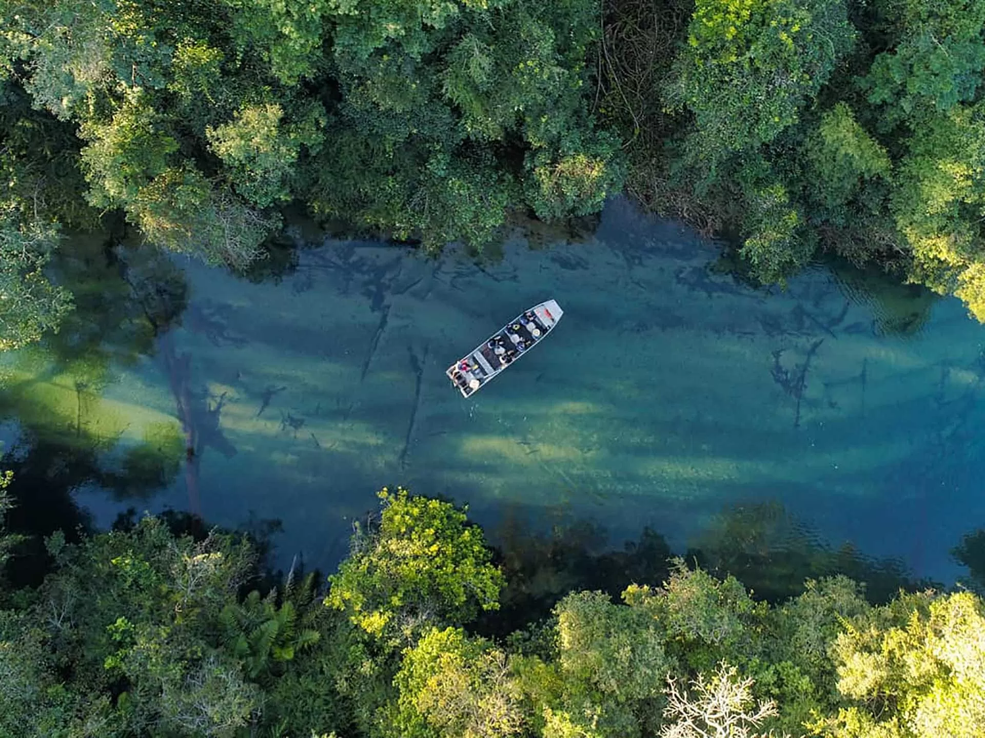 ‘Cây hút tiền’ của Brazil