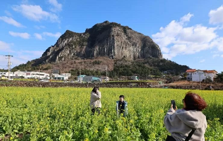 Hàn Quốc hy vọng tạo nên cơn sốt du lịch Jeju nhờ bộ phim ‘When life gives you tangerines’