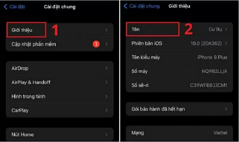 Chọn Giới thiệu, sau đó chạm vào mục Tên