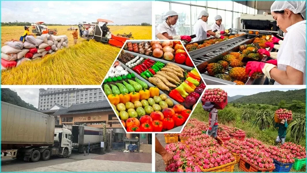 Chuyển đổi xanh: 'Mệnh lệnh' cấp bách cho cả Việt Nam và Bangladesh