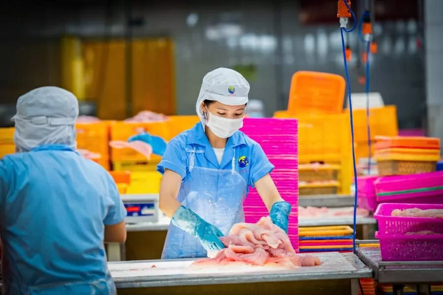 UOB Vietnam backs NAVICO in green. finance push for sustainable aquaculture