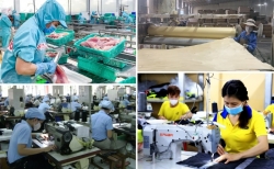 Thứ trưởng Bộ Tài chính: Nghị quyết số 68-NQ/TW là chủ trương lớn của Đảng trong phát triển kinh tế khu vực tư nhân