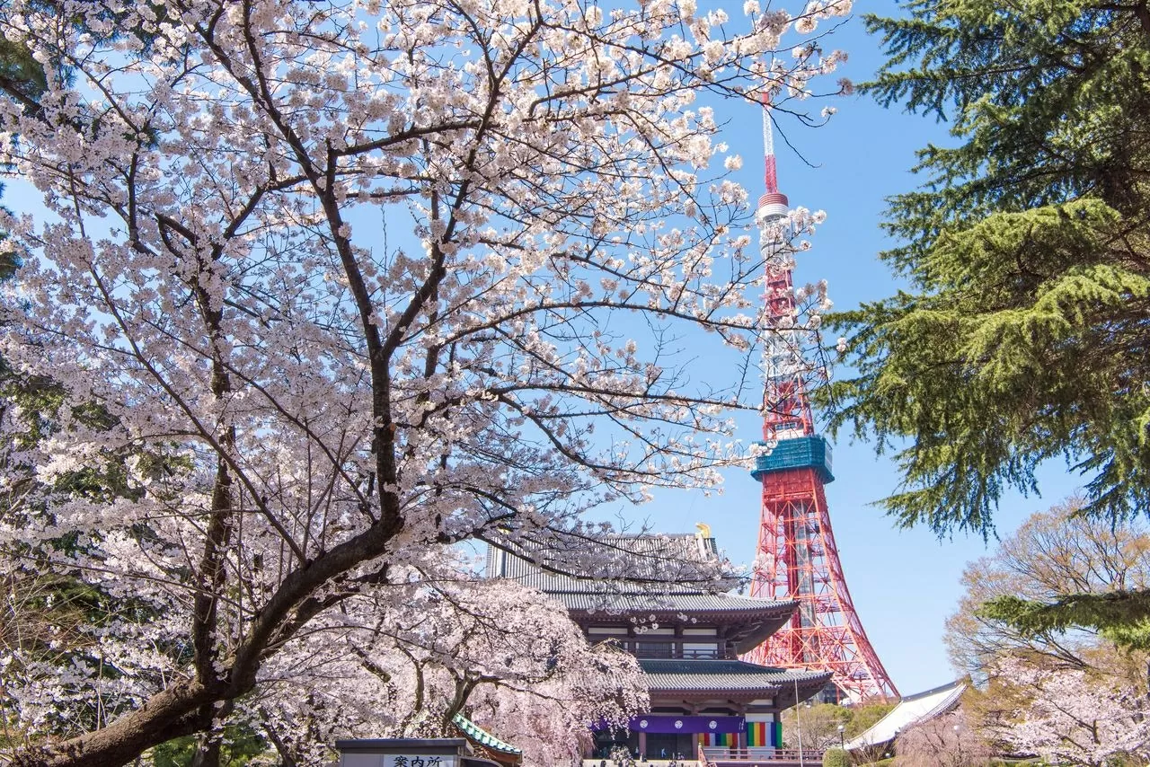 Vùng thủ đô Tokyo của Nhật Bản trở thành “nam châm” hút lao động nước ngoài